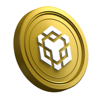 Kryptowalutowa moneta Binance BNB na stronie poradnika dla nowych traderów